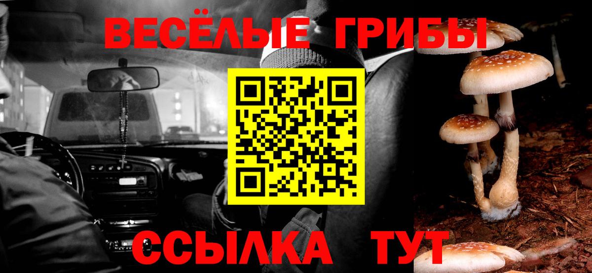 магазин    Галлюциногенные грибы прущие грибы  Вход с VPN  Псилоцибиновые грибы Cubensis  Михайловск 