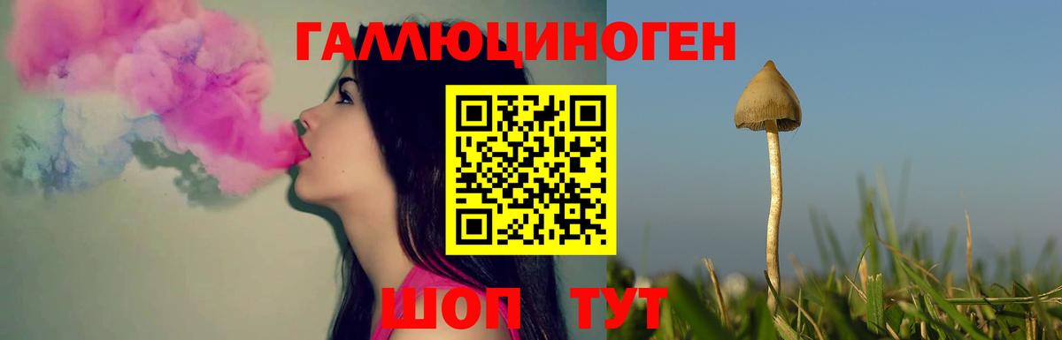 Галлюциногенные грибы мухоморы Михайловск